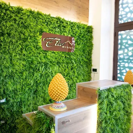 Гостьовий будинок Etna Hills Катанія